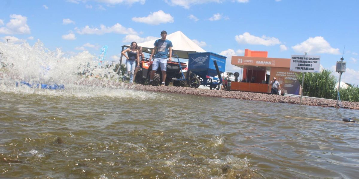 Líder na piscicultura, Paraná orienta produtores no manejo dos viveiros no verão
