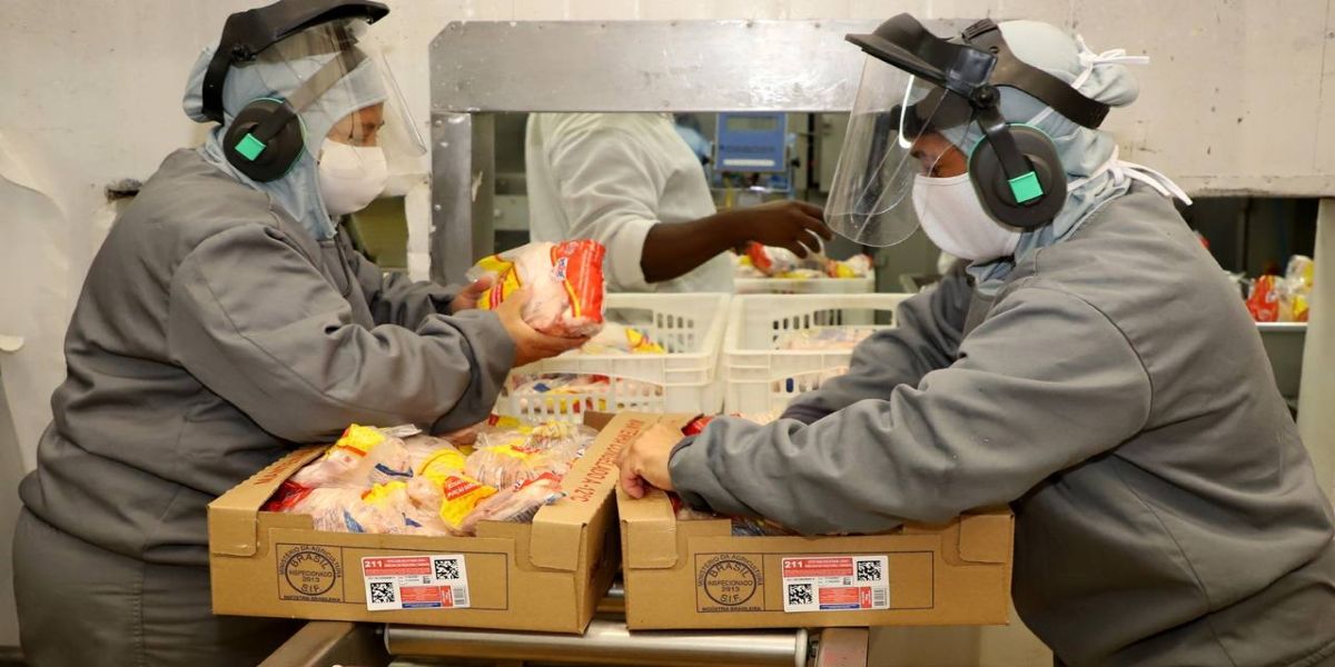 Puxadas por carne de frango, exportações do Paraná crescem 6,1% em janeiro de 2023