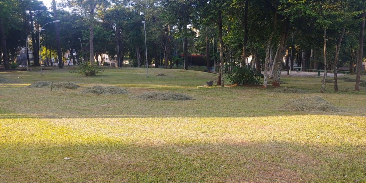 Município de Cascavel intensifica a limpeza dos espaços públicos