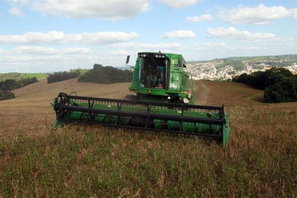 Clima favorece colheita e qualidade do feijão no Paraná, aponta boletim agropecuário