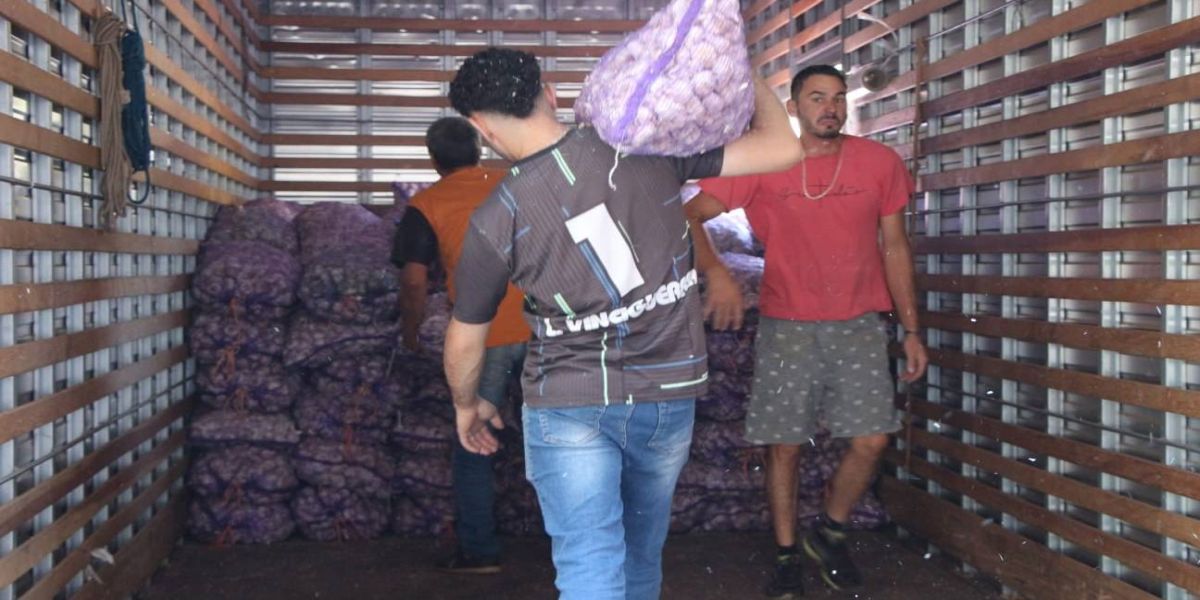 Programa Compra Direta recebe e distribui 27 toneladas de alho apreendidas pela Receita Federal