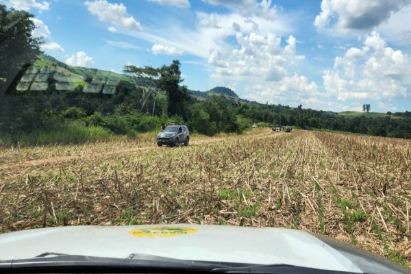 Forças de Segurança continuam buscas pelos Assaltantes de Cooperativas de Crédito em Sulina/PR