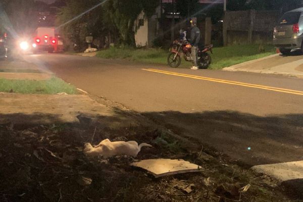 Motociclista fica ferido após atropelar cachorro no Bairro Periolo, em Cascavel