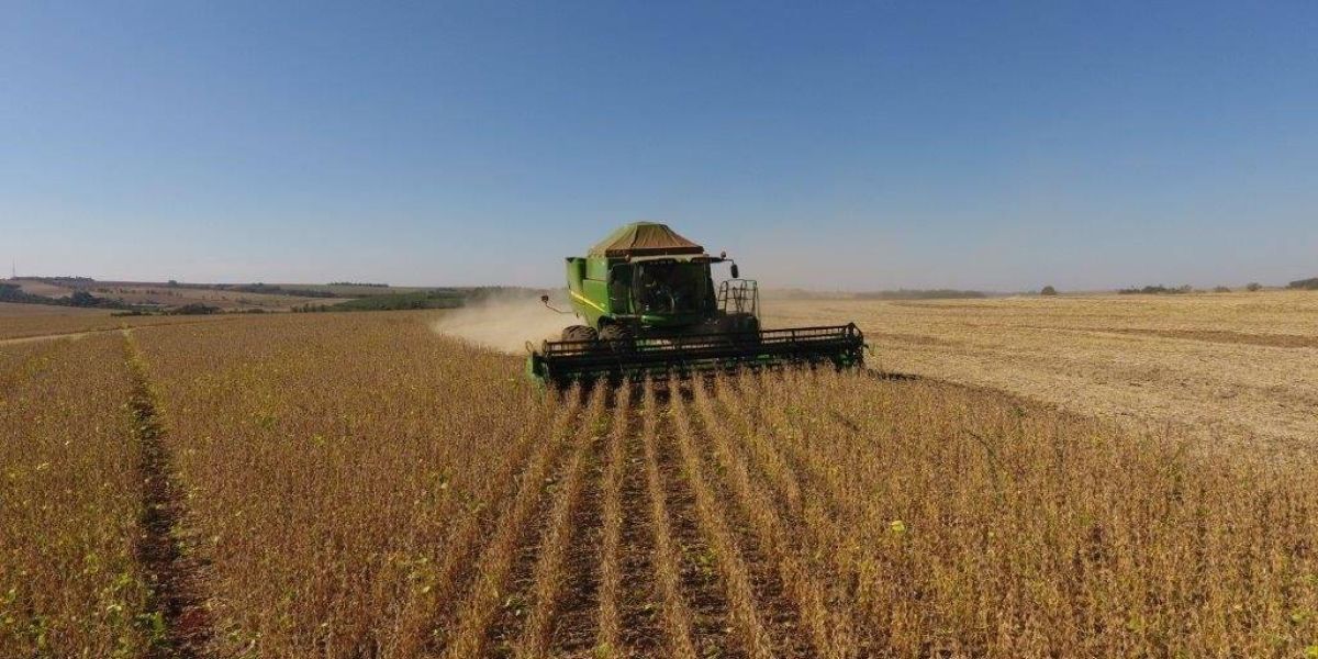 PIB do Paraná cresce 5% no 1º trimestre, quase o dobro da média nacional e acima dos EUA