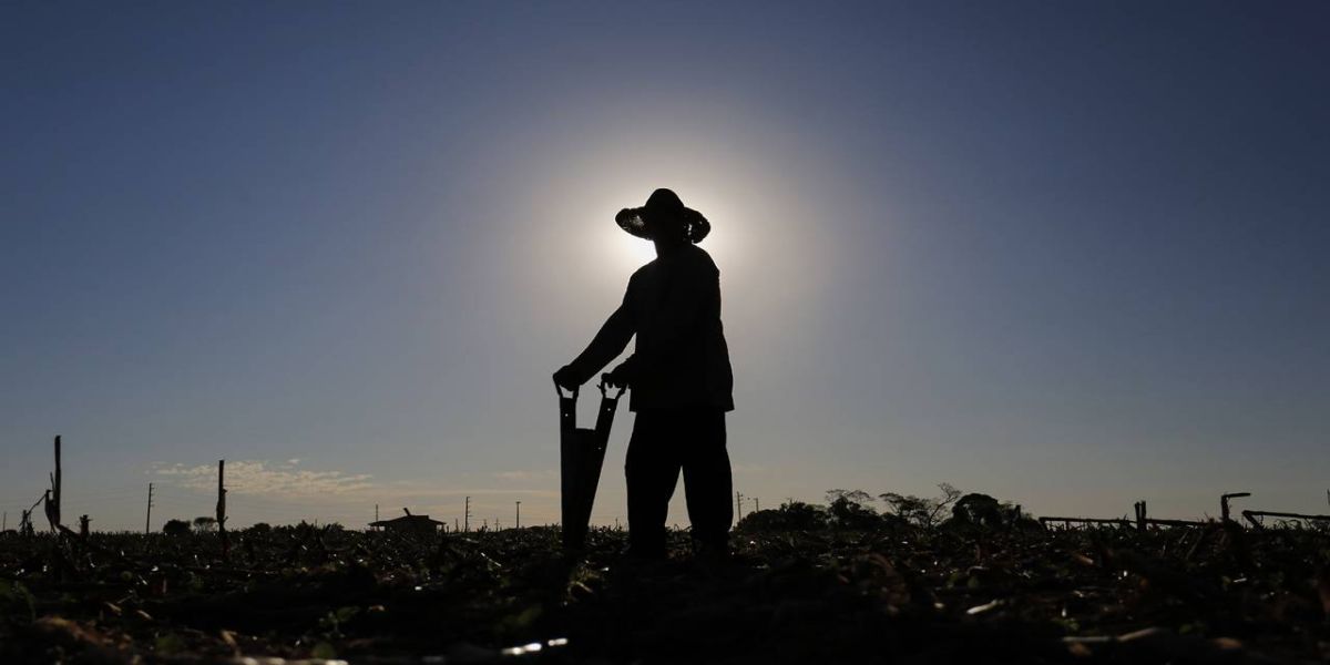 Aplicativo que facilita emissão de notas fiscais já alcançou 380 produtores rurais