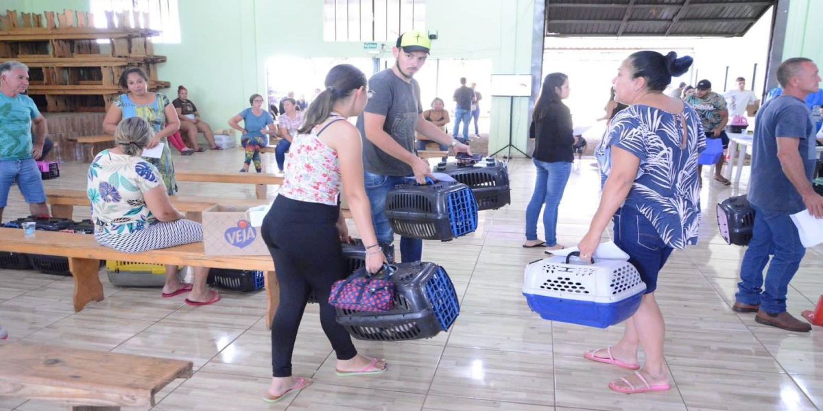 Com emendas de Marcio Pacheco, CastraPet realiza a castração de 519 animais