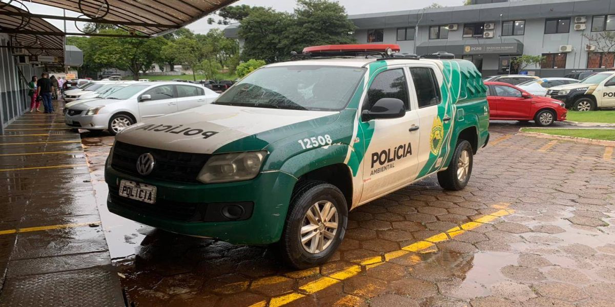 Dois homens são presos por queimar fios de cobre em Santa Tereza do Oeste