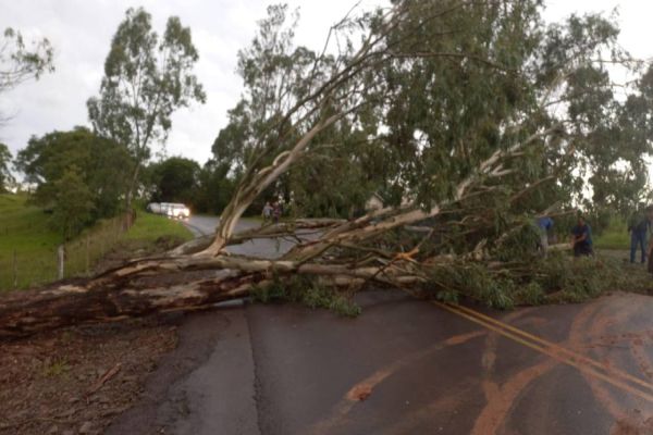Fortes chuvas causam obstrução na PR 180, sentido Juvinópolis a Boa Vista da Aparecida
