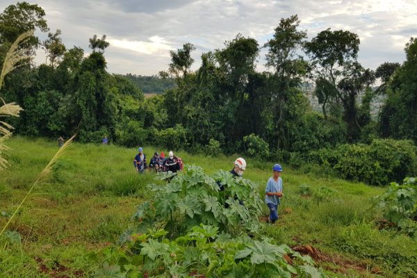 Imagem referente a notícia: Trabalhador morre ao sofrer descarga em alta tensão durante troca de poste em Capitão