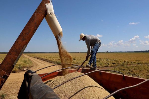 Em conjunto com entidades do setor, Paraná apresenta sugestões para o Plano Safra 2023/24