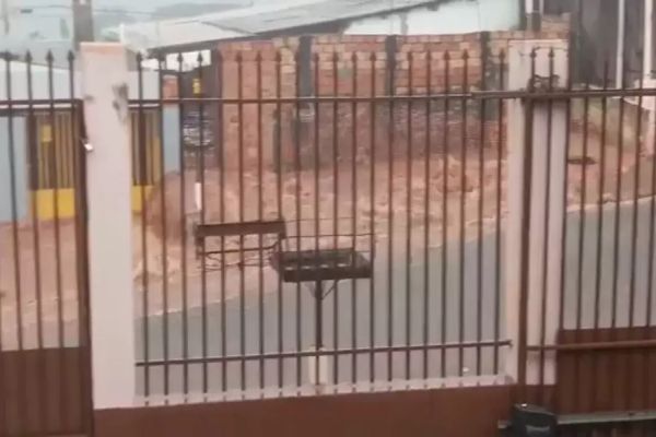 Vídeo mostra enxurrada no Bairro XIV de Novembro