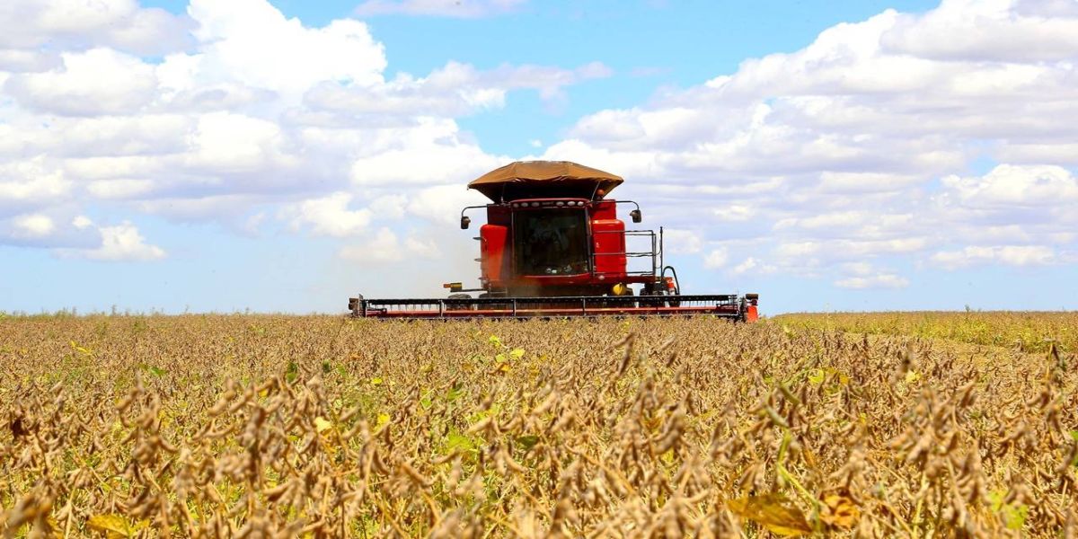 Paraná pode colher 20,8 milhões de toneladas de soja, maior volume da história