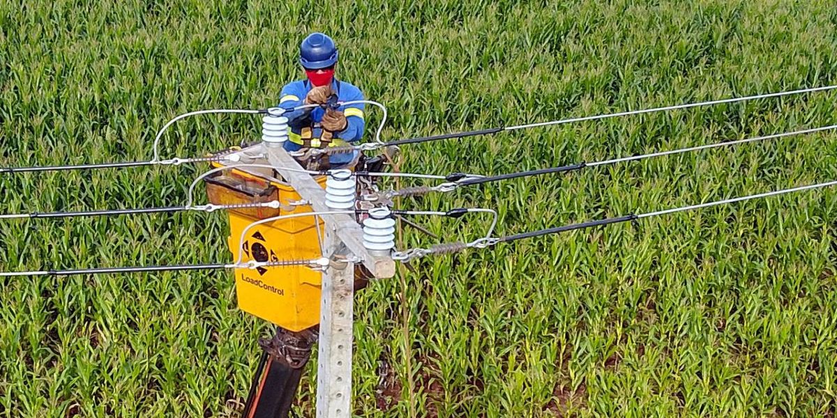 Paraná Trifásico leva rede elétrica mais potente e estável à agroindústria cada vez mais moderna e inovadora
