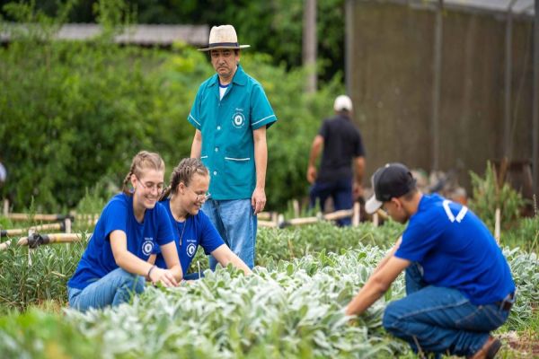 Estado aumenta aquisição de alimentos orgânicos para merenda e ensina prática nas escolas