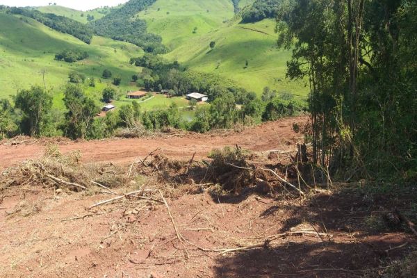 Polícia Militar Ambiental autua proprietário por danificar floresta em estágio médio