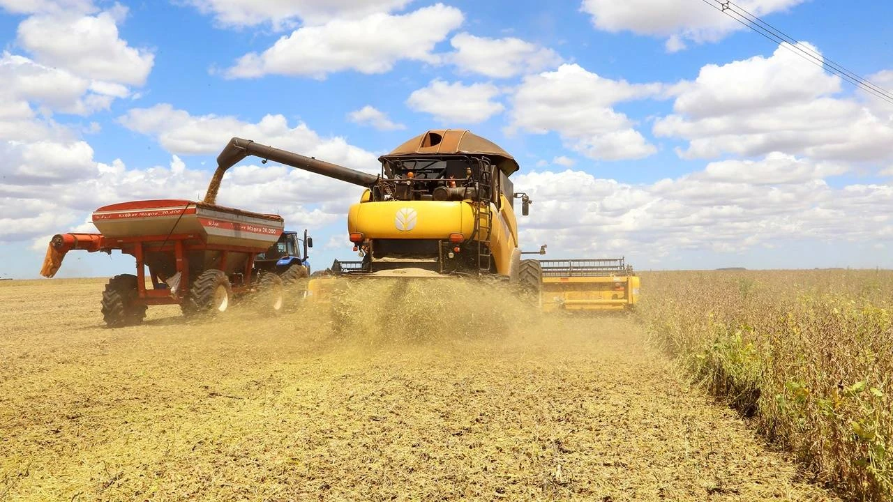 Foto relacionada a notícia: Colheita da soja evolui de 17% para 30% na última semana no Paraná