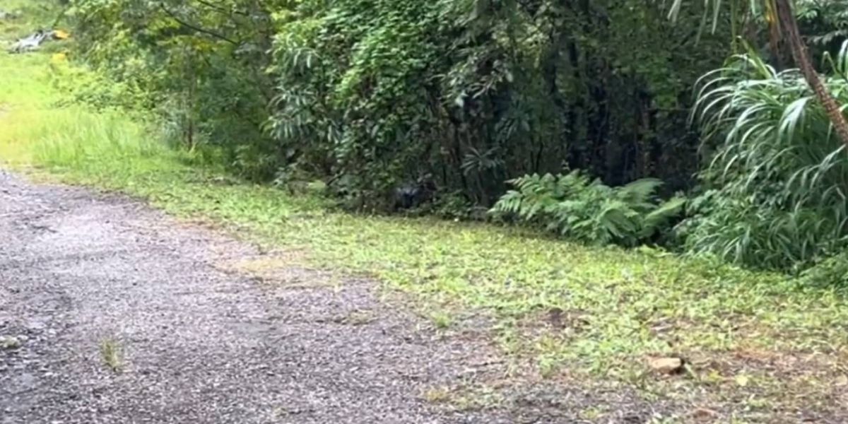 Vigilante é rendido e morto dentro de empresa e a suspeita é de tentativa de roubo