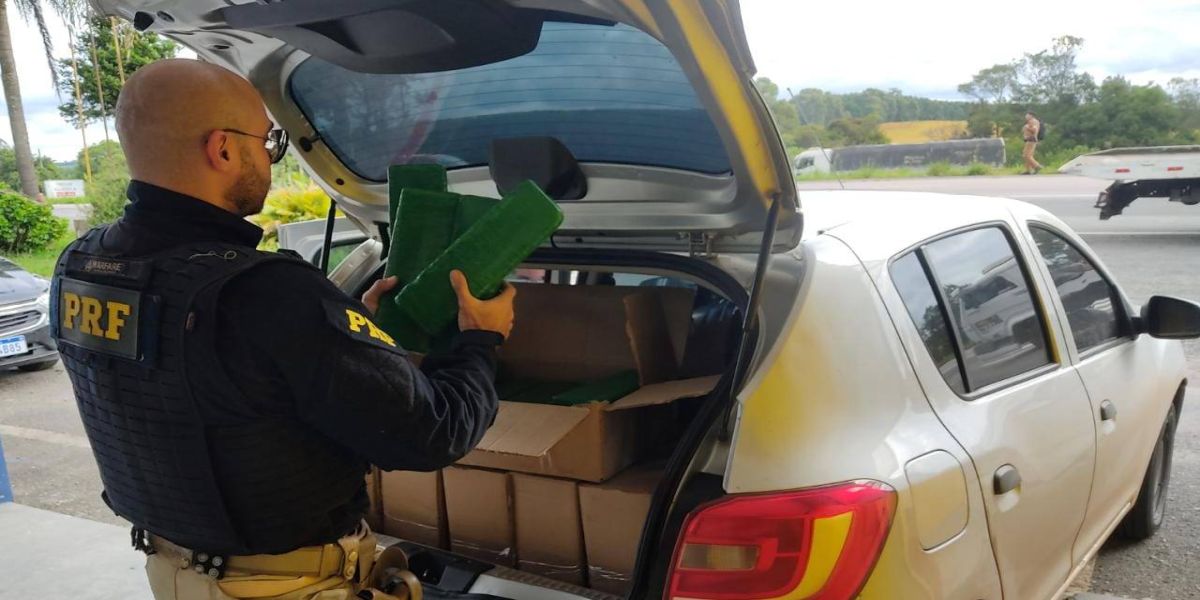 PRF apreende 225 kg de maconha e prende dois homens na BR-277; A droga saiu de Cascavel