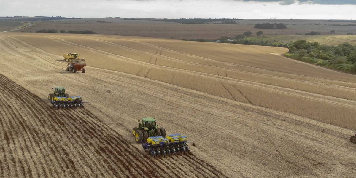 Paranaenses já colheram metade da área de soja e milho, principais produtos da safra de verão