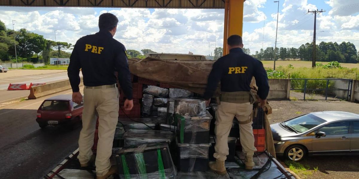 PRF Cascavel faz a maior apreensão de maconha do Sul do Brasil em 2023