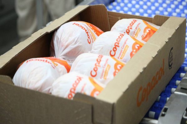 Copacol recebe novo selo de "padrão de qualidade" em processo rigoroso