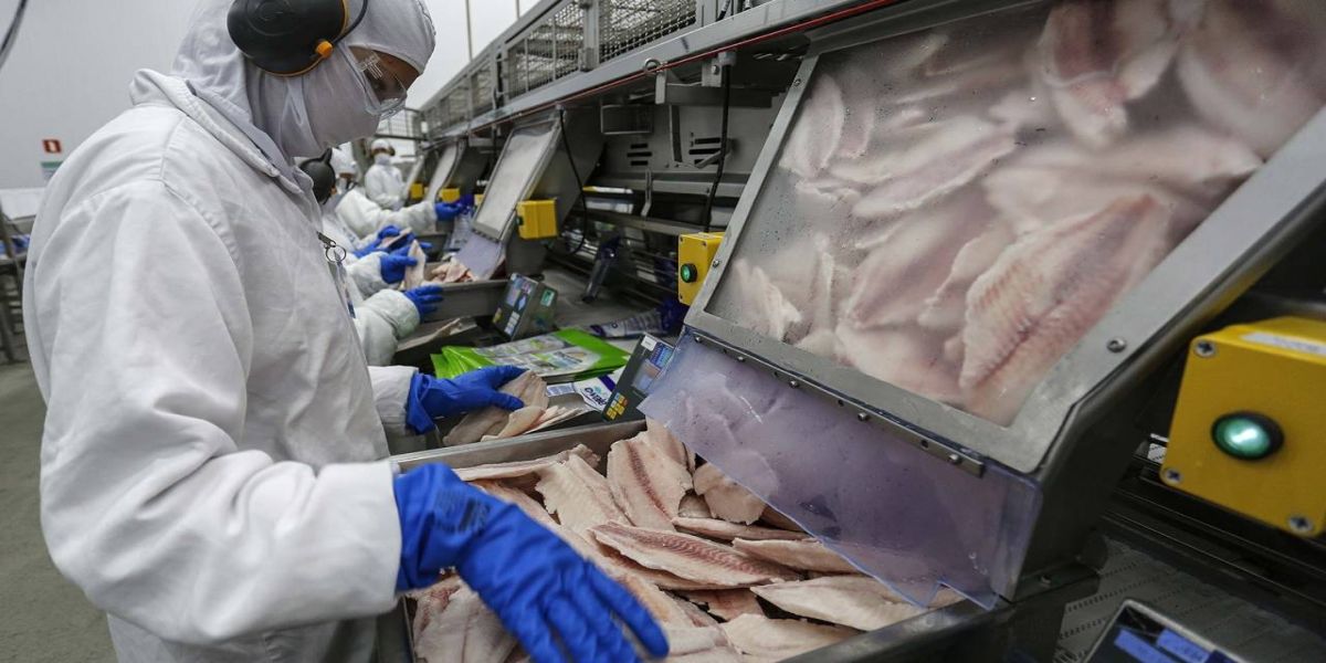 Paraná lidera produção e exportação nacional de carne de peixe