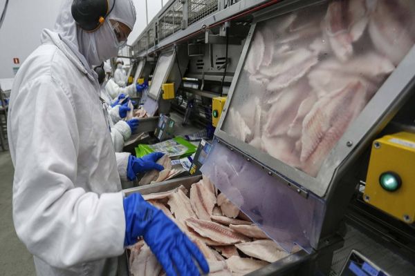 Paraná lidera produção e exportação nacional de carne de peixe