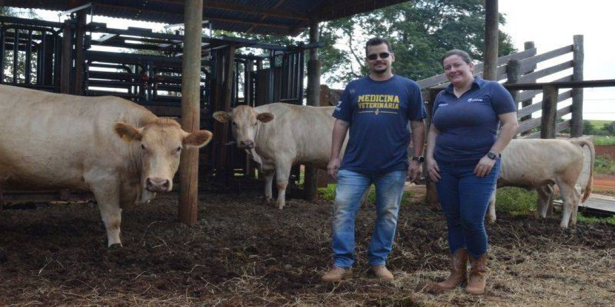 Fazenda Escola da Univel vira centro de excelência em pesquisa