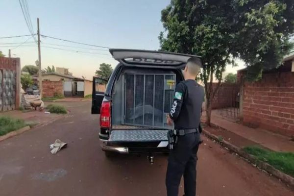 Tio que engravidou sobrinha é preso em operação de combate a violência sexual