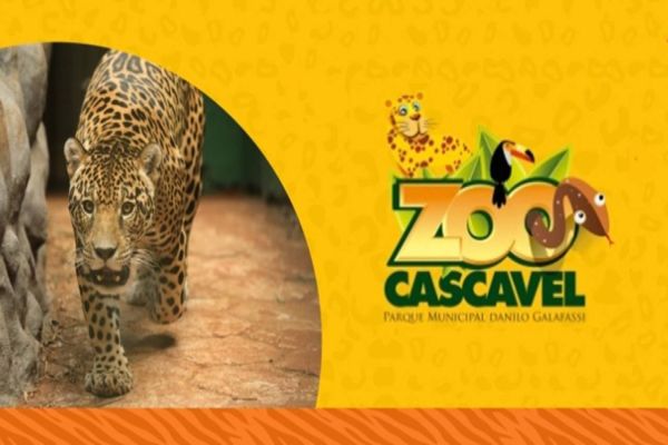 Estacionamento do Zoológico de Cascavel volta a receber veículos gratuitamente