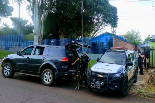 Delegacia de Homicídios e Denarc apreendem drogas durante operação em Cascavel