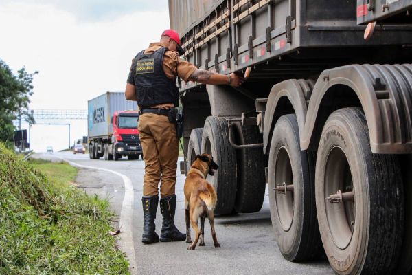 Polícia Rodoviária inicia operação para intensificar segurança nas estradas estaduais
