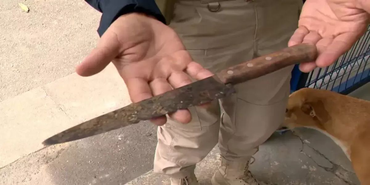 Menino de dois anos é encontrado andando sozinho na BR-101 com uma faca na mão