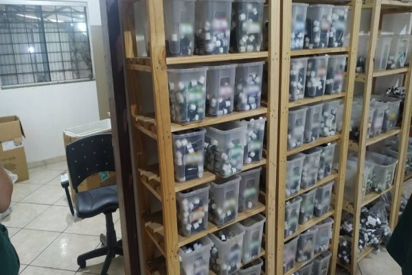 Guarda Municipal e Vigilância Sanitária desmontam fábrica clandestina de medicamentos em Cascavel