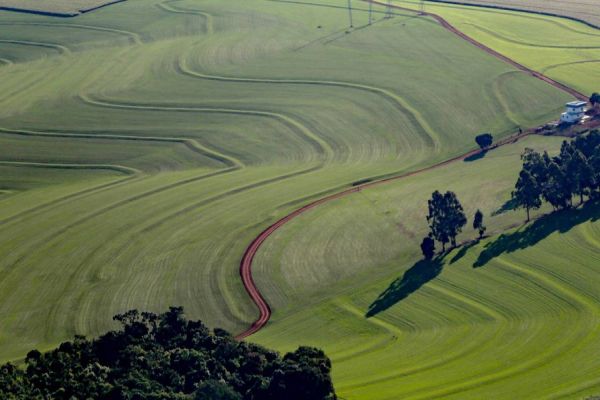 Governo do Estado disponibiliza R$ 12,7 milhões para o seguro rural em 2023