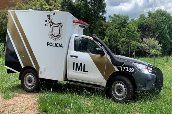 Mulher morre após ser atingida por árvore durante trabalho em lavoura