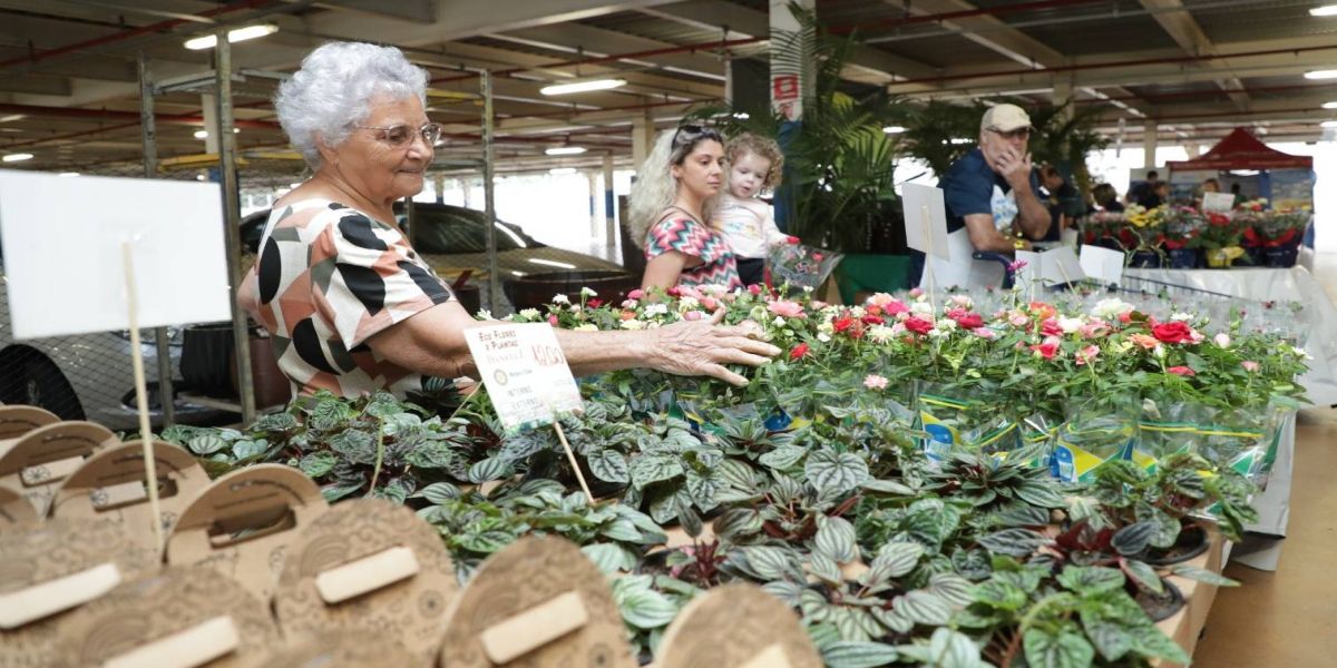 Rotary Fest Flores: A feira de flores que beneficia entidades assistenciais em Cascavel
