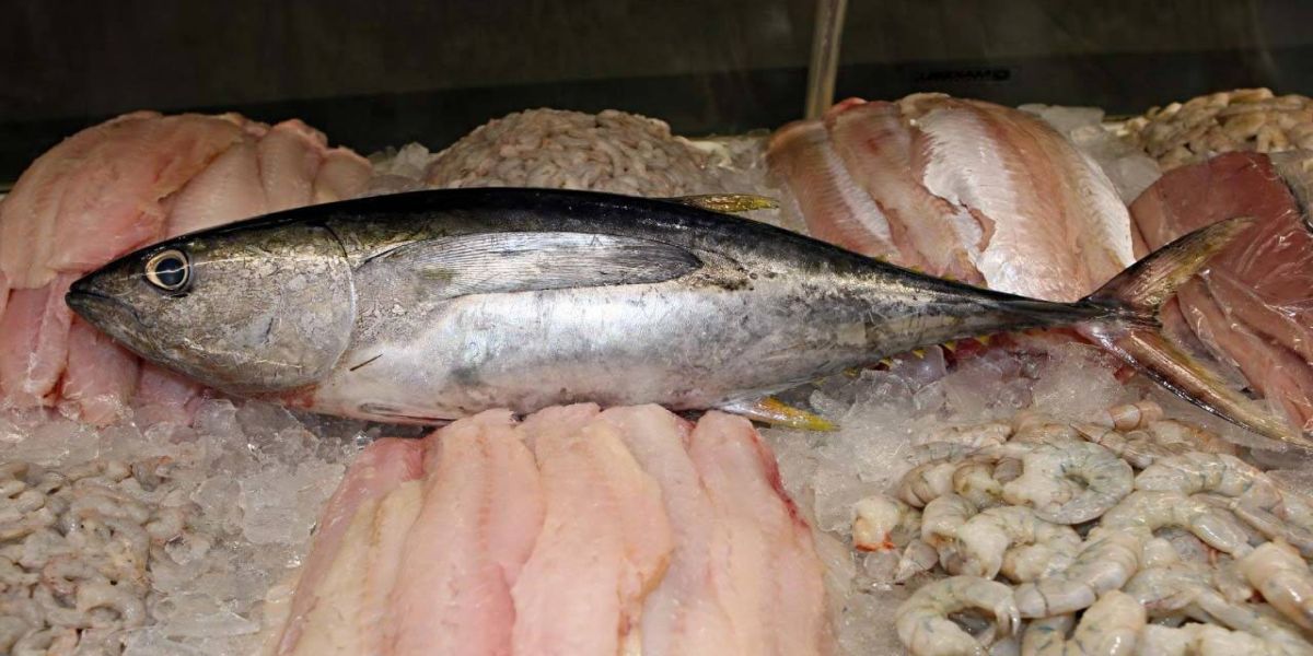 Saúde orienta sobre cuidados ao escolher o pescado neste período de maior consumo