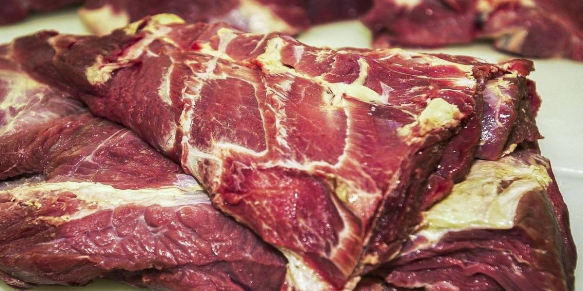 Rússia retira embargo à importação de carne bovina brasileira