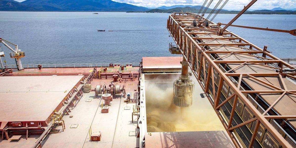 Portos do Paraná movimentam 28 milhões de toneladas nos cinco primeiros meses do ano