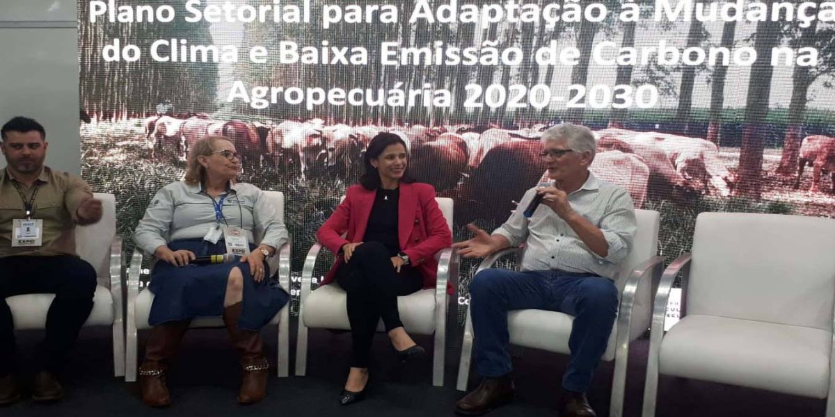 Sustentabilidade: Paraná apresenta plano de agricultura de baixa emissão de carbono