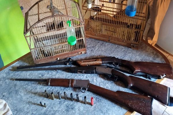 Homem é detido por crime ambiental e posse irregular de arma de fogo em Diamante do Sul