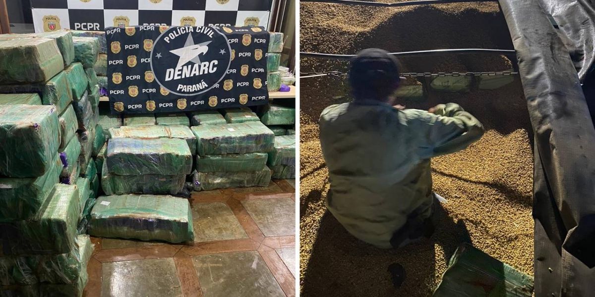Denarc apreende 1,9 toneladas de maconha em caminhão de grãos na BR-163 em Cascavel