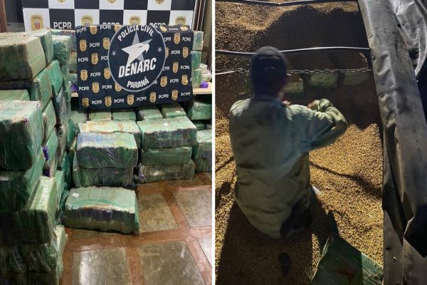 Imagem referente a notícia: Denarc apreende 1,9 toneladas de maconha em caminhão de grãos na BR-163 em Cascavel