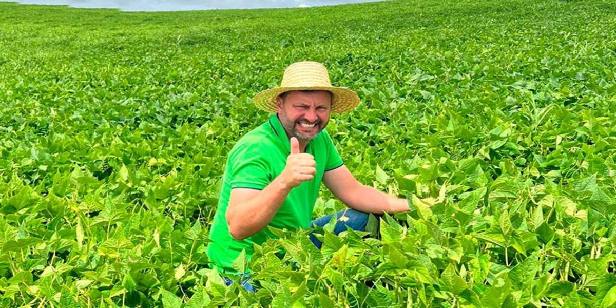 Paraná se destaca no melhoramento genético do feijão e garante maior produtividade