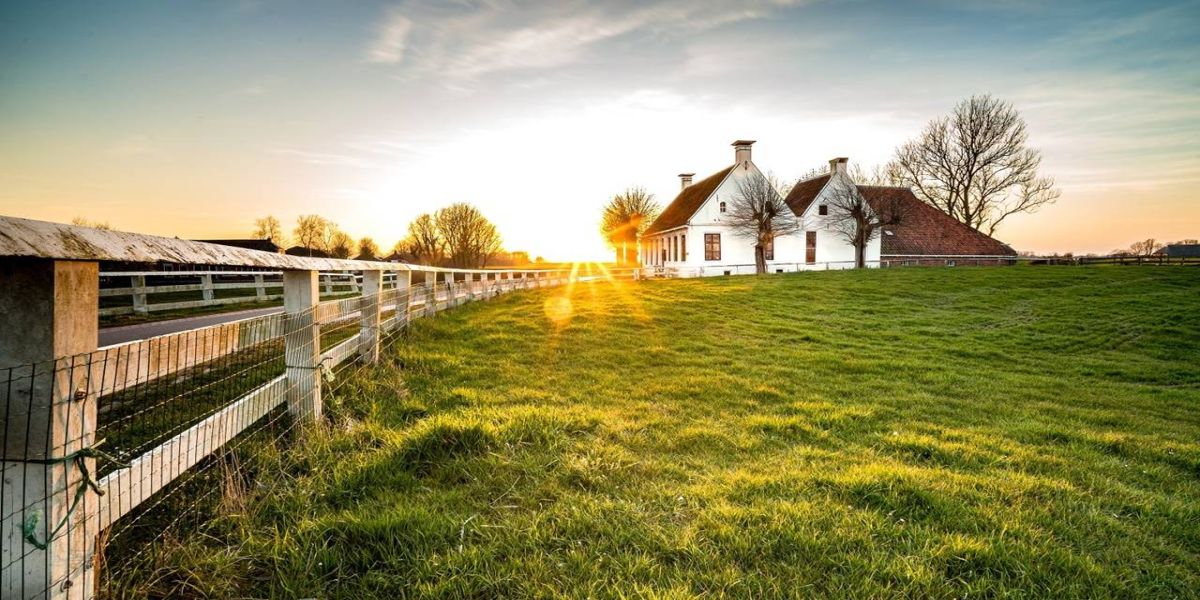 Especialista explica MP que muda prazo de adesão ao Programa de Regularização Ambiental