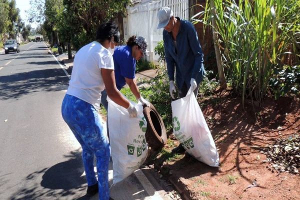 Estado estabelece frente de combate à dengue com ações efetivas em todo o Paraná