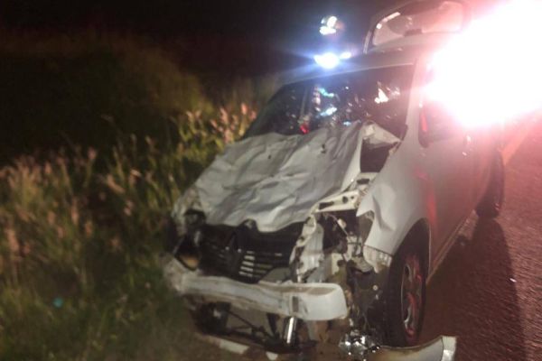 Carro fica destruído após atropelar boi na PR-180 em Juvinópolis