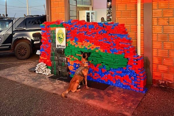 BPFRON apreende mais de uma tonelada de drogas em São José das Palmeiras