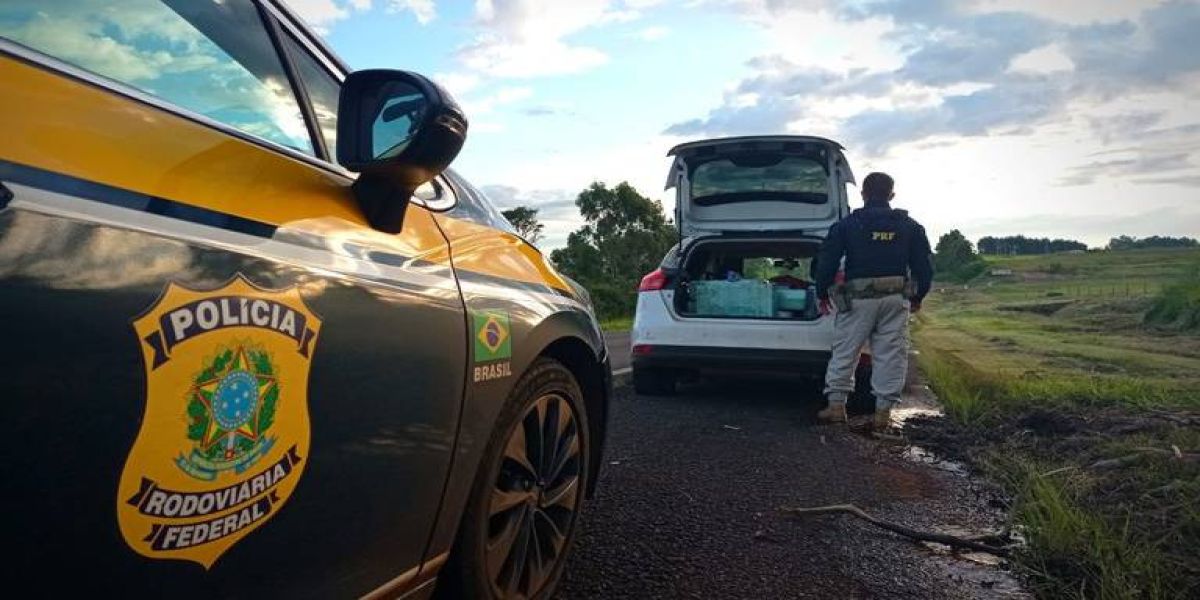 PRF prende casal com meia tonelada de maconha na BR-272 no Paraná